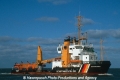 Scharhoern K220488.jpg