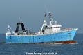 Blue Castor HK-281014.jpg