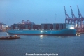 Ane Maersk 280324-12.jpg