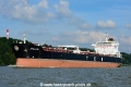 Apollon 110815-05.jpg