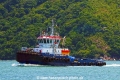 Alianca Minuano RV-041218-02.jpg