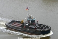 Hector A254 (OK-011115-4).jpg