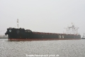 Yasa H Mulla (KB-D280219-07).jpg