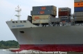 OOCL Shenzhen Bug 1803-3.jpg