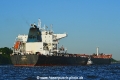 Clia 080518-05.jpg