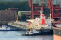 Glory Pegasus (KB-D191013-01).jpg