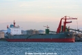 Kyra Zafira (MM-111114-1).jpg