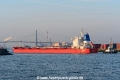 Prime Lily (KB-D220716-03).jpg