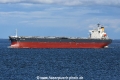 Delphinus JG-020917-01.jpg