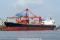 Nord Star (310706-015-SW).jpg