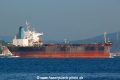 Fengli 9 (OK-221013-2).jpg