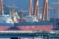 RB Mya (MS-270517).jpg
