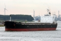 Fortune Daisy (MM-060814-2).jpg