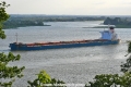 Nord Penguin 040722-1.jpg