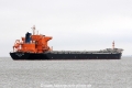 Ningbo Sea Lion JG-070415-03.jpg