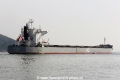 Ikan Bawal RV-310813-04.jpg