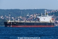 Elena (OK-070917-1).jpg