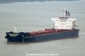 Liberty Destiny HK-111115.jpg