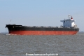 Crimson Monarch JG-220315-02.jpg