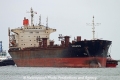 Umang SH-010913-01.jpg