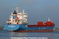 Wilson Newport (OK-171112-5).jpg