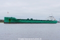 Arklow Willow (OK-160320-2).jpg