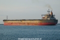 Cape Azalea (240905-17-TS).jpg