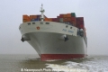 OOCL Germany Bug-03.jpg