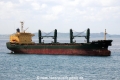 Hattie OS-090213-08.jpg