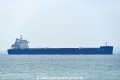 Shandong Fu Hui OS-271017-01.jpg