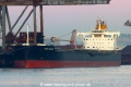 Basic Glory TL-260222-1.jpg