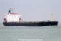 Peter S SH-111115-01.jpg