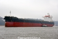 Global Star OS-190216-06.jpg