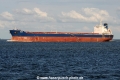 Golden Pearl JG-060814-02.jpg