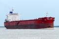Prime Lily (KK-230716-1).jpg