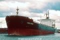 Yong Huan (K2002-MS).jpg