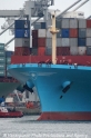 Maersk Bug 10906-MS.jpg