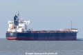 Rikke (KK-150817-1).jpg