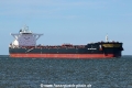 Golden Incus TL-190718-4.jpg