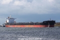 Gotia (JS-310814-02).jpg