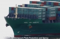 CSCL Los Angeles Bug 18604-1.jpg