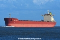 New Elly JG-130323-1.jpg