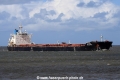 Golden Brilliant (JS-090816-05).jpg