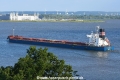 Nord Penguin 040722-4.jpg