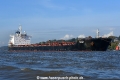 Golden Pearl 131020-05.jpg