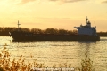 BBG Dream 061117-01.jpg