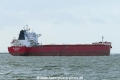 SBI Mazurka (KK-101117-2).jpg