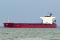 Star of Sawara (KK-200516-0).jpg