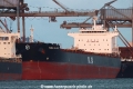 Yasa Falcon TL-081022-1.jpg