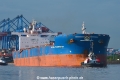 Anangel Transporter (KB-D110519-01).jpg
